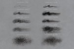 4 charcoal brushes.jpg