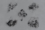 10 stamps 4.jpg