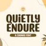 Шрифт - Quietly Endure