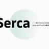 Шрифт - Serca