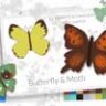 Бабочки и мотыльки весенние кисти для штампов Procreate