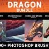 Комплект дракона Photoshop кисти