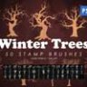Зимние деревья кисти для Photoshop