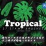 Тропические листья штампы кистей для Photoshop